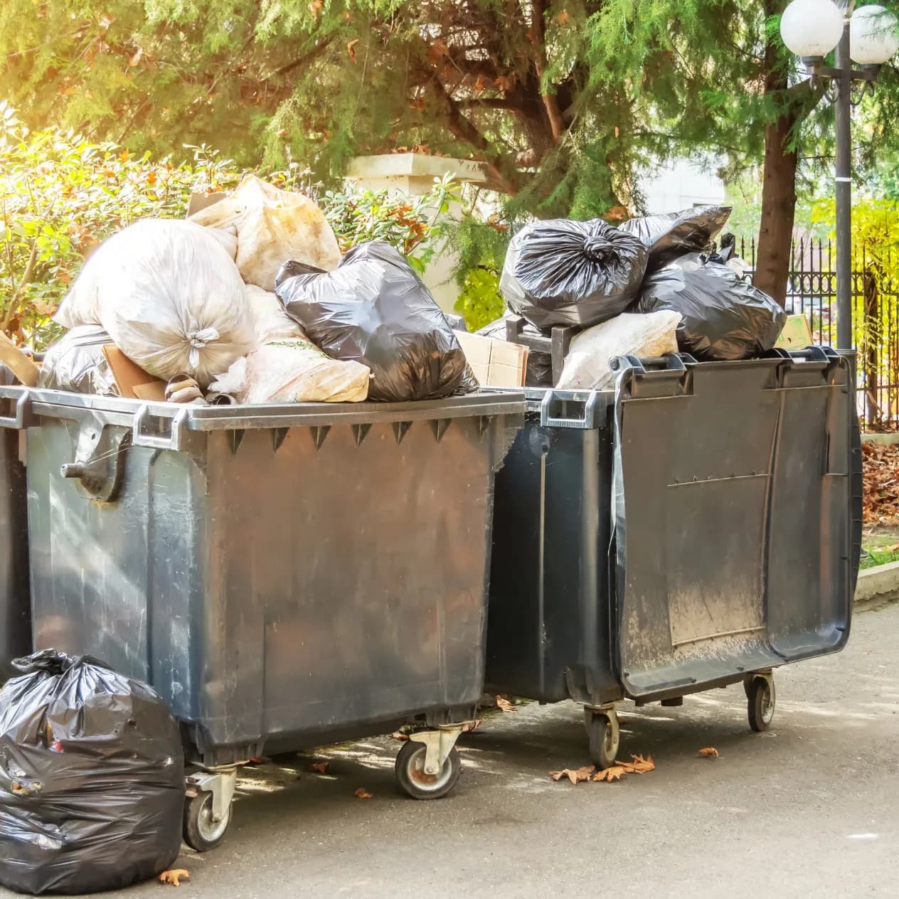 Front-Load & Molok Bins