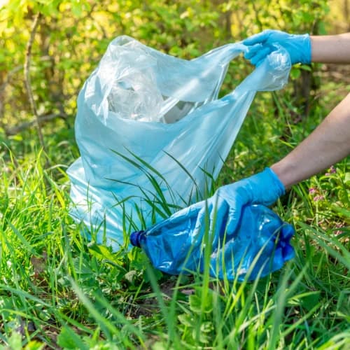 Organic Waste Collection